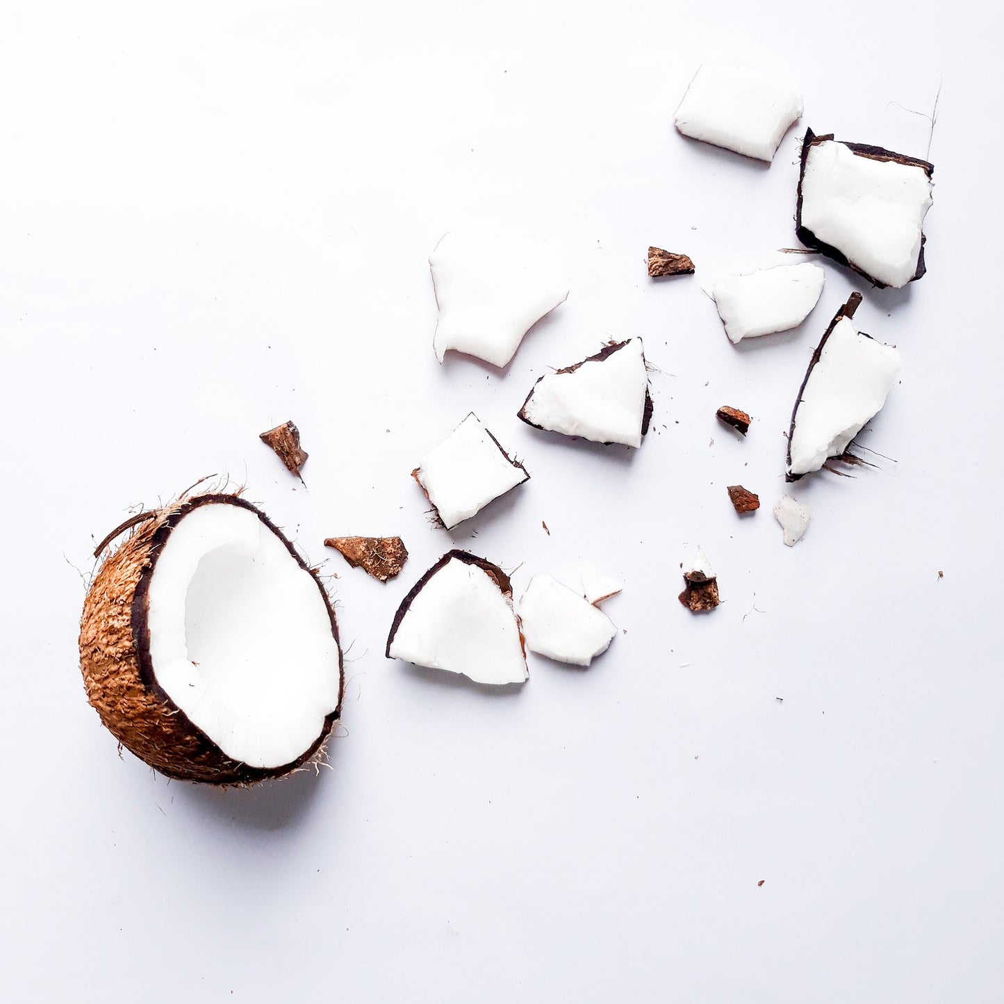 Chaga Mushroom Coconut Chai Tea