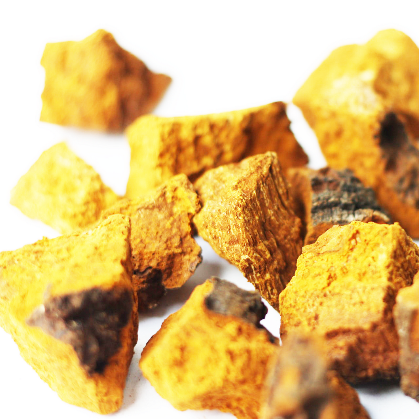Chaga Mushroom Coconut Chai Tea