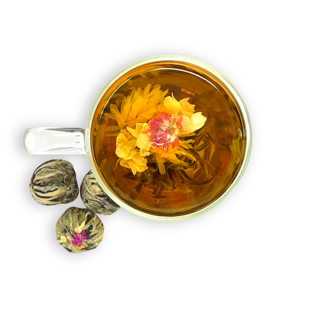 The Four Headed Dragon Blooming Tea